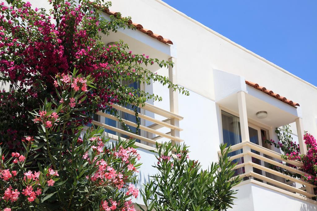 Delfi Hotel Spa & Wellness Center Bodrum Zewnętrze zdjęcie