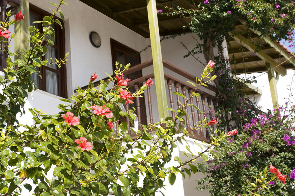 Delfi Hotel Spa & Wellness Center Bodrum Zewnętrze zdjęcie
